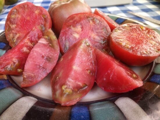 Cherokee Purple Tomato