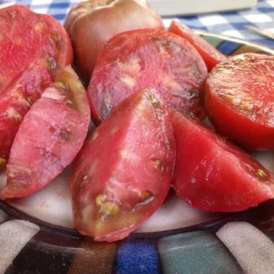 Cherokee Purple Tomato