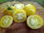 Lemon Lean Tomato - Image 3