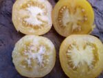 Lemon Lean Tomato - Image 4