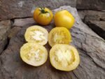 Lemon Lean Tomato
