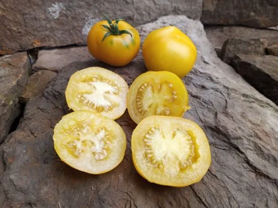 Lemon Lean Tomato