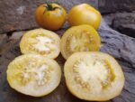 Lemon Lean Tomato - Image 5