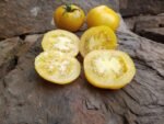 Lemon Lean Tomato - Image 11