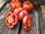Schimmeig Stoo Striped Cavern Tomato