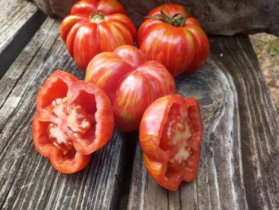 Schimmeig Stoo Striped Cavern Tomato
