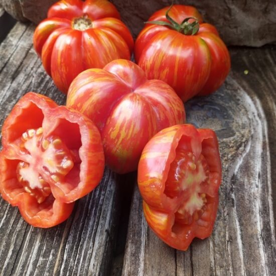 Specialty Unique Tomatoes