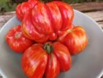 Schimmeig Stoo Striped Cavern Tomato - Image 4