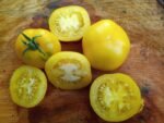Lemon Lean Tomato - Image 12