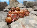 1400-46-DHF Tomato Salad Tomato Seeds.