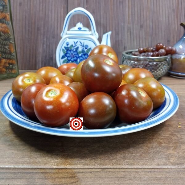 1400-46 DHF Tomato Seeds