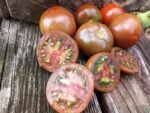 1400-46 DHF black tomatoes
