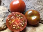 1400-46 DHF indeterminate tomatoes