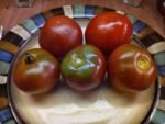1400-46 DHF new tomatoes