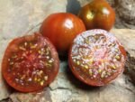 1400-46 DHF salad tomato
