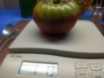 1884 PURPLE 1 POUND PLUS TOMATOES