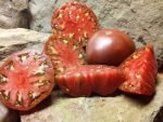 1884 PURPLE TOMATO BEEFSTEAK