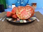 1884 Purple Tomato Giant Heirloom Tomato Seeds