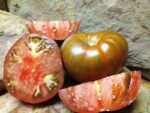 3 QUEENS BICOLORED TOMATOES