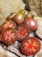 ADELAIDE FESTIVAL BEEFSTEAK TOMATOES