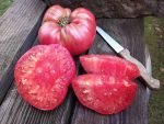 AFRICAN QUEEN RED BEEFSTEAK TOMATOES