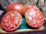 AFRICAN QUEEN SLICING TOMATOES