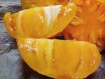 APRICOT BRANDYWINE INDETERMINATE TOMATOES