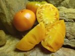 APRICOTBRANDYWINE SANDWICH TOMATOES