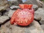African Queen Tomato Heirloom Tomato Seeds
