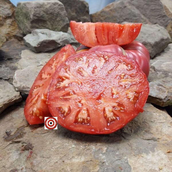 African Queen Tomato Heirloom Tomato Seeds