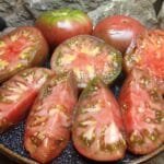 BLACK EARLY INDETERMINATE TOMATOES