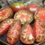 BLACK EARLY INDETERMINATE TOMATOES