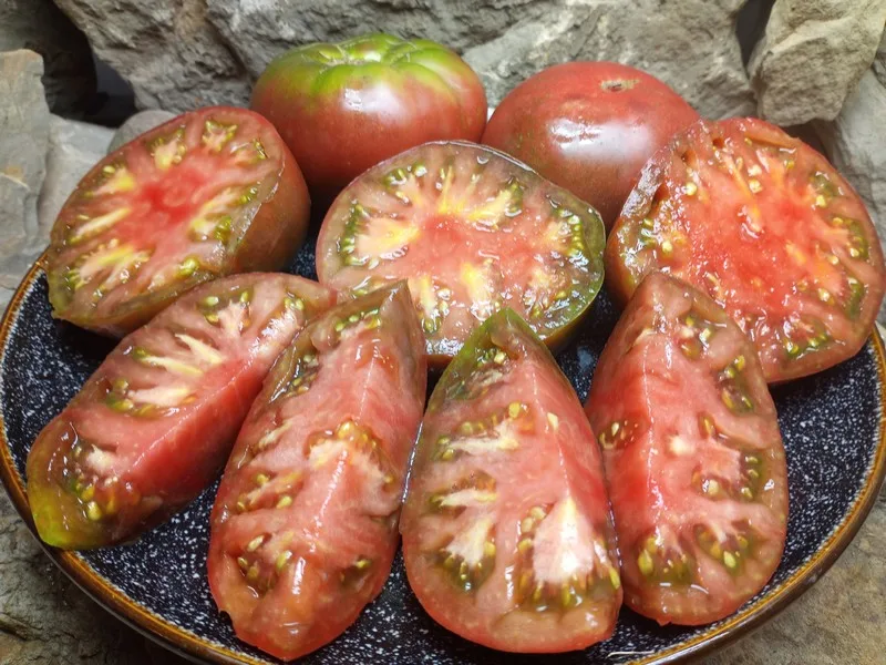 BLACK EARLY INDETERMINATE TOMATOES