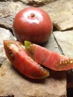 BLACK EARLY OPEN POLLINATED TOMATOES