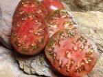 BLACK EARLY SANDWICH TOMATOES