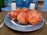Dwarf Adelaide Festival Black Striped Tomatoes.