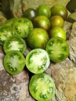 KRYPTONITE GREEN TOMATOES