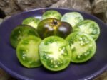 KRYPTONITE OPEN POLLINATED TOMATOES
