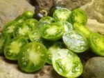 KRYPTONITE SALAD TOMATOES
