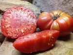 Kentucky Pink Stamper Tomato - Image 4