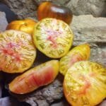 LUCID GEM SLICING TOMATO