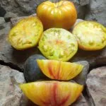 MR. STRIPEY ORANGE STRIPED TOMATOES