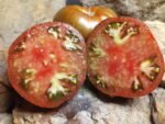 THREE QUEENS TOMATO