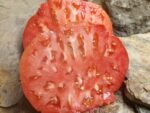 BIG MAC PL SLICING TOMATOES