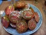 BLACK AND BROWN BOAR INDETERMINATE TOMATOES