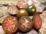 BLACK AND BROWN BOAR MARKET SELLER TOMATOES