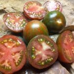 BLACK AND BROWN BOAR MARKET SELLER TOMATOES