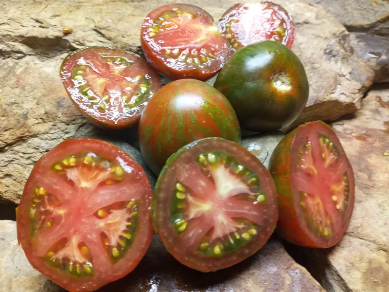 BLACK AND BROWN BOAR MARKET SELLER TOMATOES