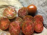 BLACK AND BROWN BOAR STRIPED TOMATOES