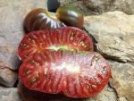 BLACK BRANDYWINE INDETERMINATE TOMATOES